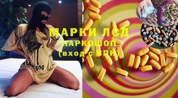 ГАЛЛЮЦИНОГЕННЫЕ ГРИБЫ Балахна