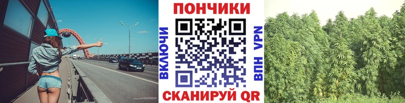 МАРИХУАНА план  купить   Чехов 